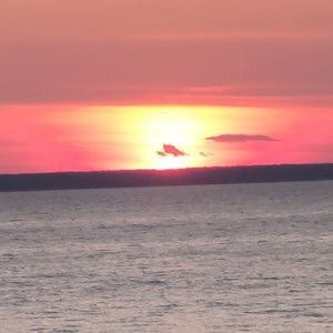 Meet your Posher, Moeee